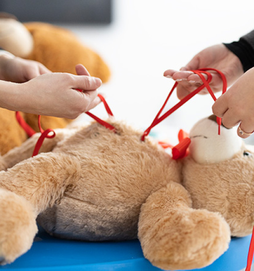 A teddy bear lies on its back on a table. Two pairs of hands work on bright red stiches attached to the teddy bear’s midsection.